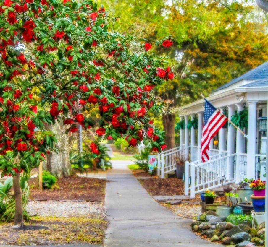 Souther NC Street with a Home with an American Flag